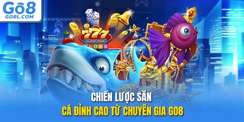 Chiến lược săn cá đỉnh cao từ chuyên gia GO8