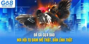 đá gà cựa dao