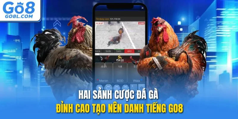 Hai sảnh cược đá gà đỉnh cao tạo nên danh tiếng GO8