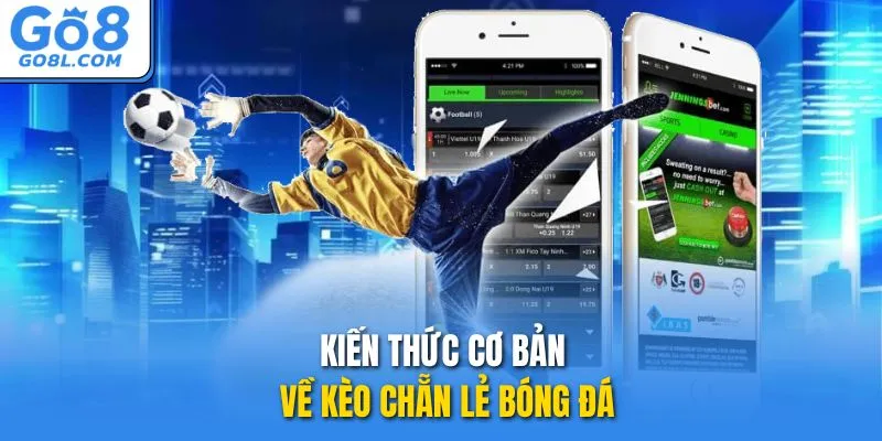 Kiến thức cơ bản về kèo chẵn lẻ bóng đá